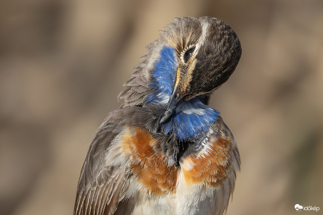 Fotózás lesz, rendbe szedem magam...