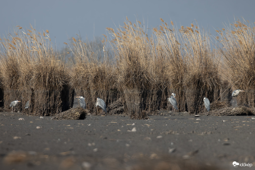 Birodalmi lépegetők a bázison...