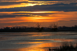 Ez megkoronázta a tegnapot...