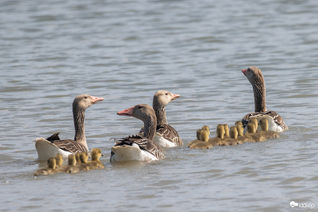 Családok találkozója...