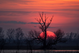 Megint elment a nap, ahogy mindig szokott...