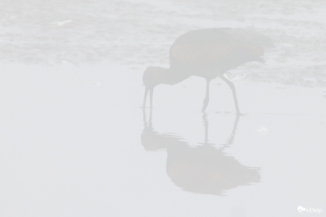 Amikor a megszállottság győz -- 