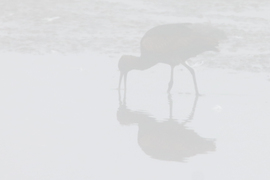 Amikor a megszállottság győz -- 