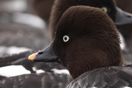 Ezt csak úgy itt hagyom... -- 