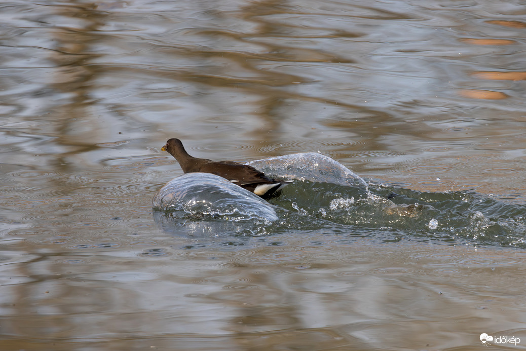 Néha túlpörög a motor..., vagy sok volt a nitro... -- 