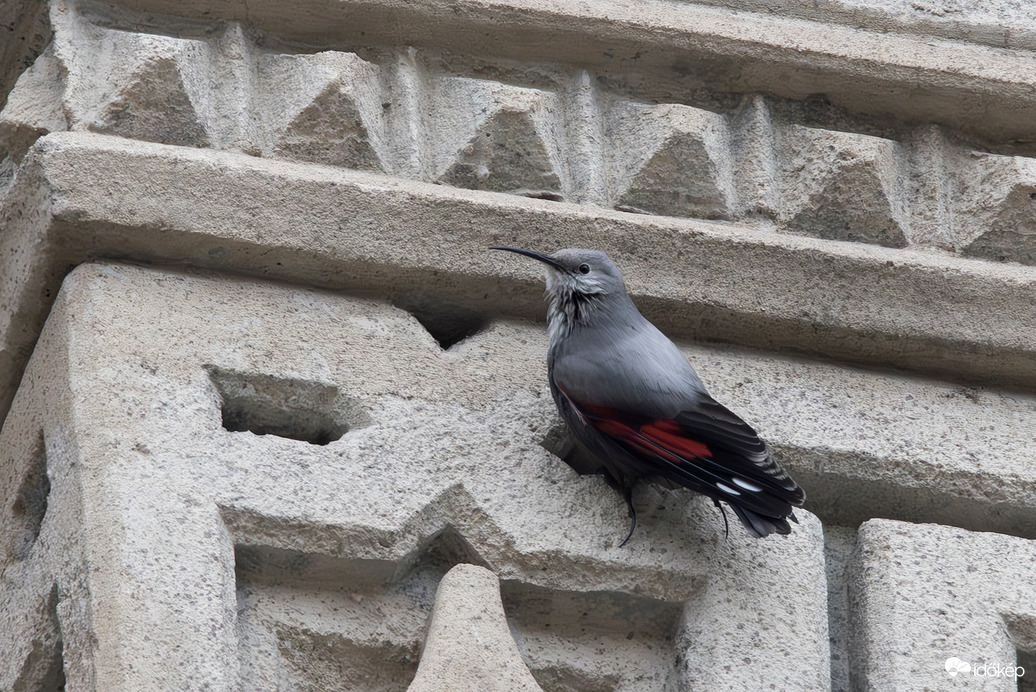 Én őt kaptam karácsonyra... -- 