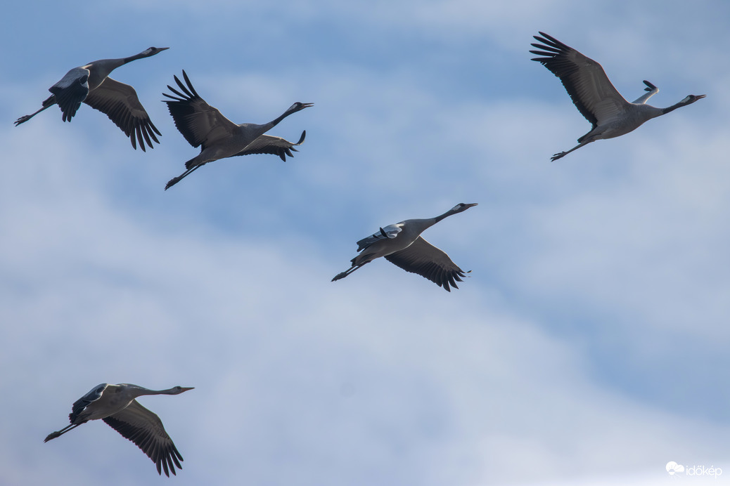 Krúgató brigád... -- 