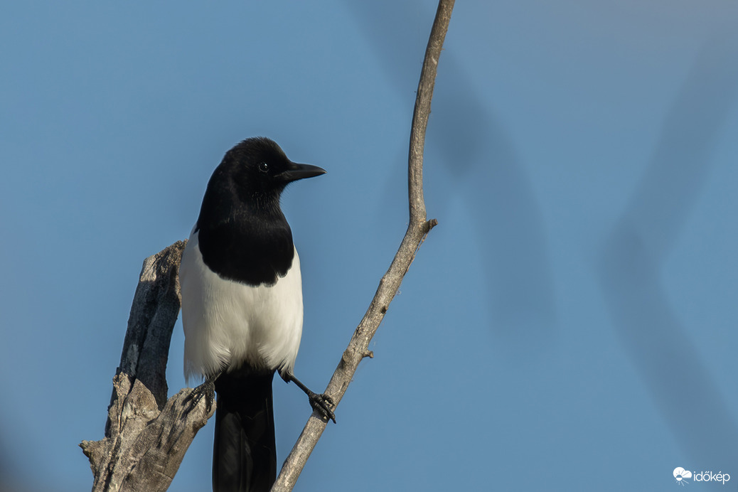 A spárga még nem megy... -- 