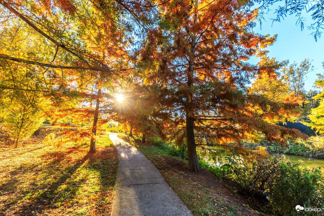 Reggel a Holt-Marosnál
