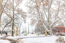 Újszegedi friss hó