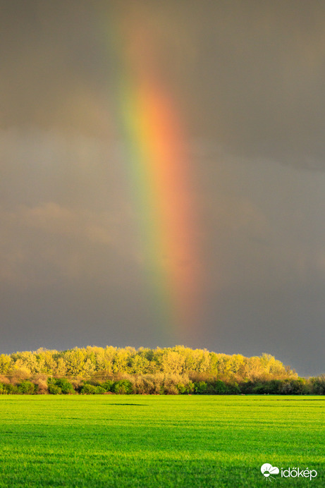 Szivárvány születik