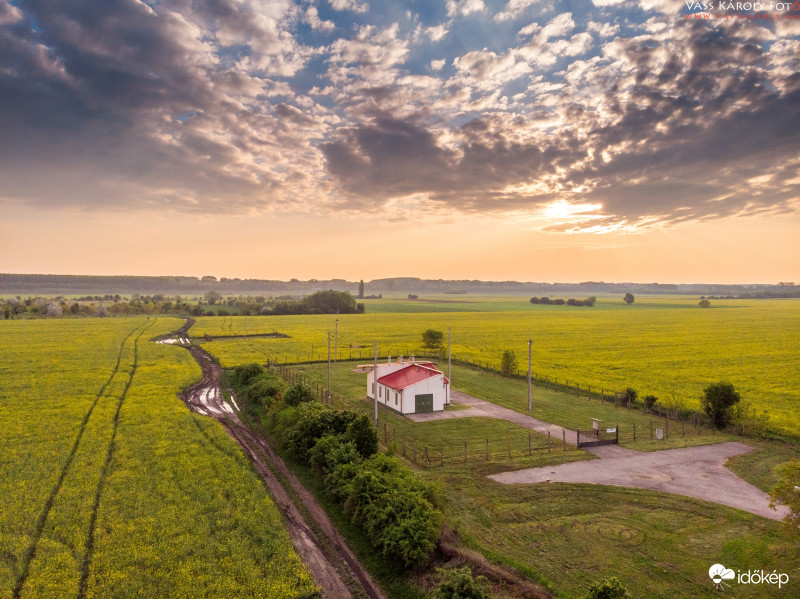Ház a repcemezőn