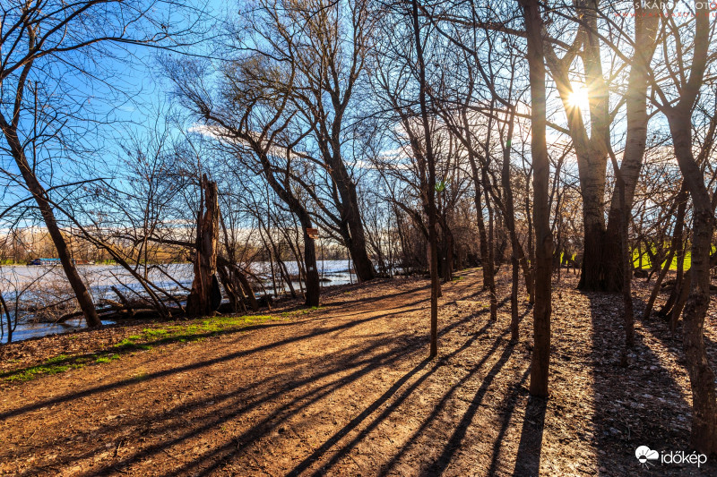 A Tisza árterében