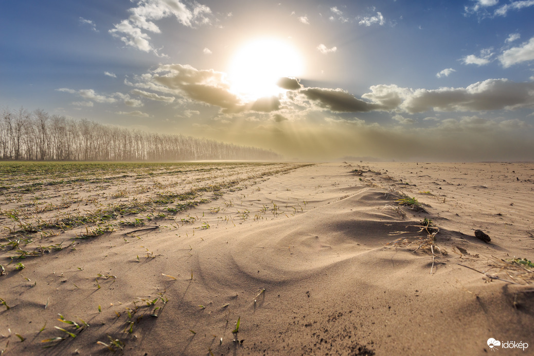 Alföldi szélvihar