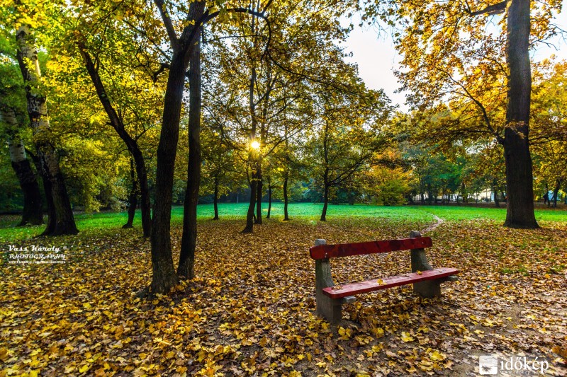 Őszi reggel az újszegedi Ligetben I.