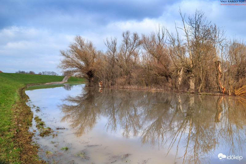 A Tisza árterében