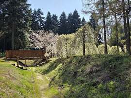 Híd, ami összeköt