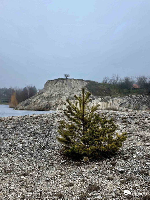 Befagyott segesdi bányató