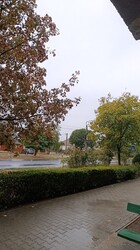 Martfű