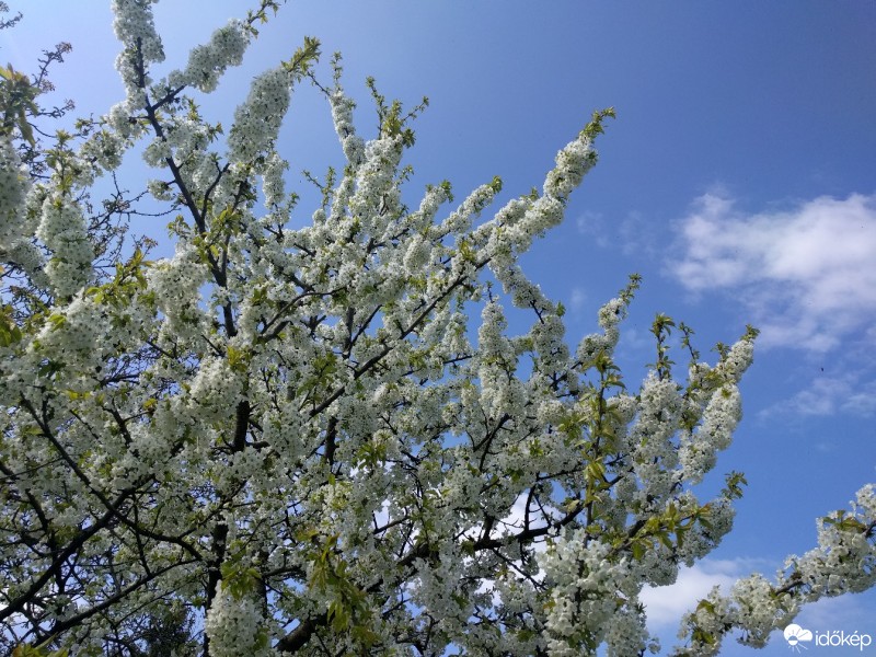 Ráckeve