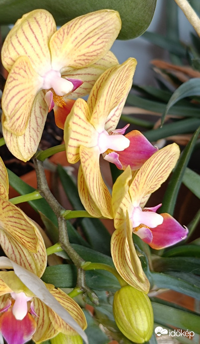 A bentiekről sem feledkezzünk meg!