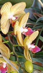 A bentiekről sem feledkezzünk meg!