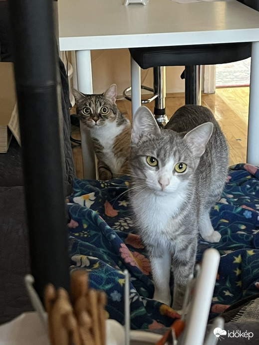 Nagyon Boldog Új Évet Kívánunk minden Kedves Időképesnek! (Jövöre is fogtok hallani,bocsánat látni minket...)