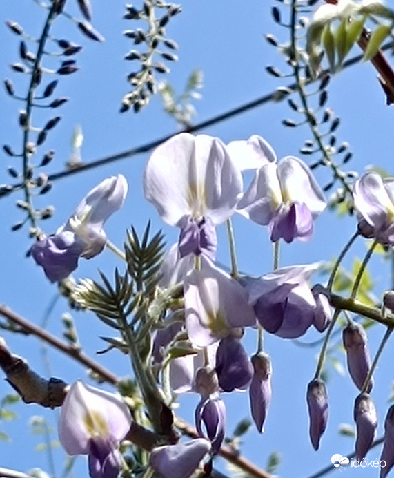 Gyönyörű tavaszi nap van ma!