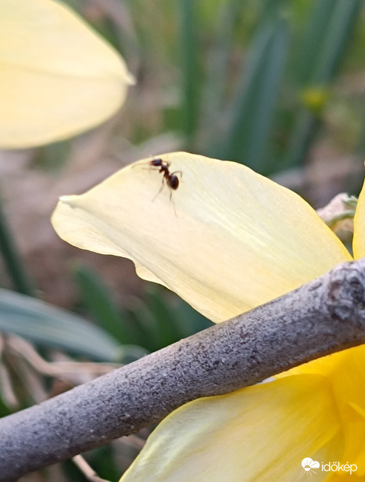 Most hogyan menjek át?...
