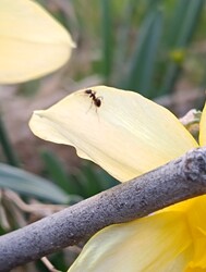 Most hogyan menjek át?...