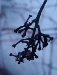 A múlt évről maradt...