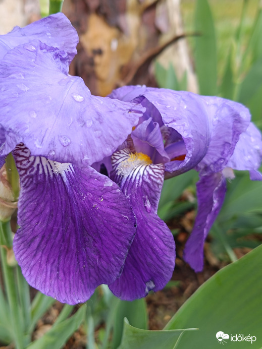 Szerinted sok eső lesz?