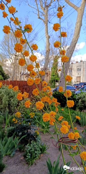 Délutáni hangulatban