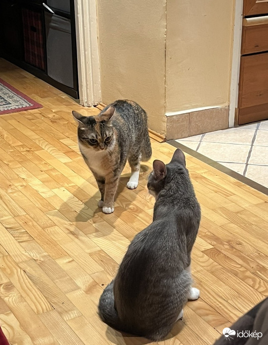 Mai benti életkép: "adok vagy kapok"....