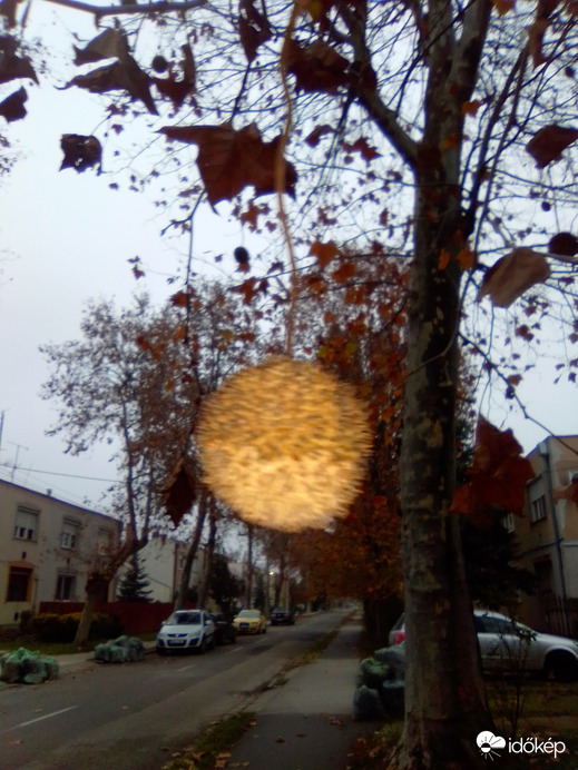 Kis gömböc