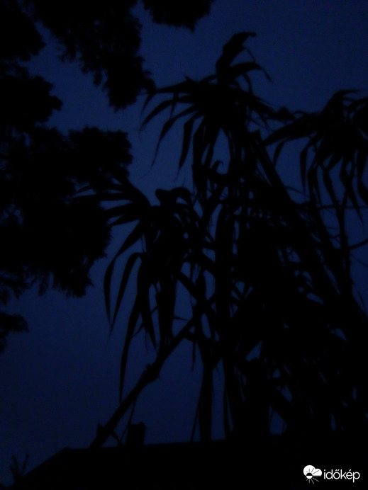 Nádas estefelé