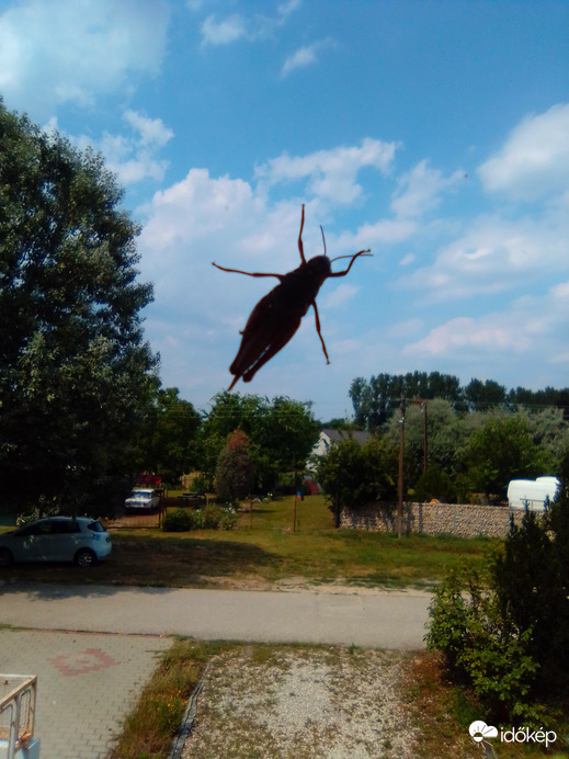 Tudom,hogy nagyon meleg van kinn,de bocsi,nem jöhetsz be...(konyhaablakomból)