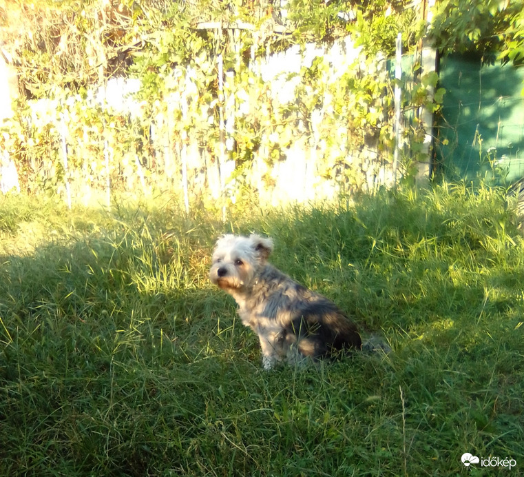 Hmm..Közeleg az ősz?