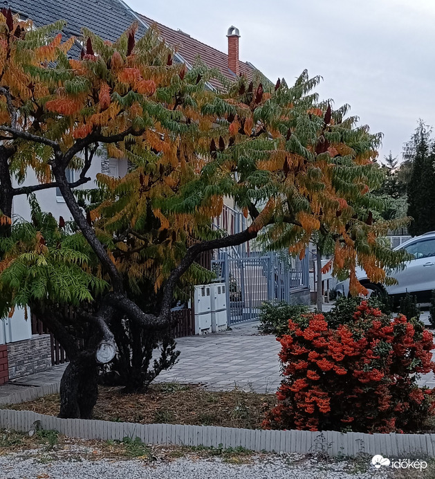 Az ősz színei