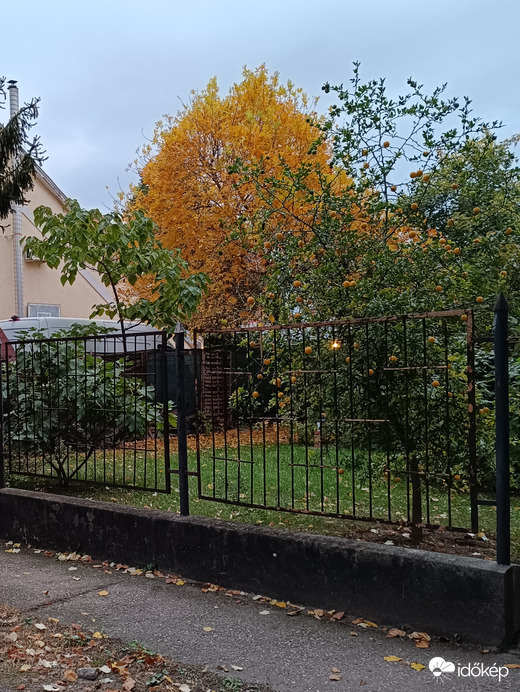 Ősz