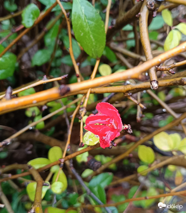 Elég vizes minden....