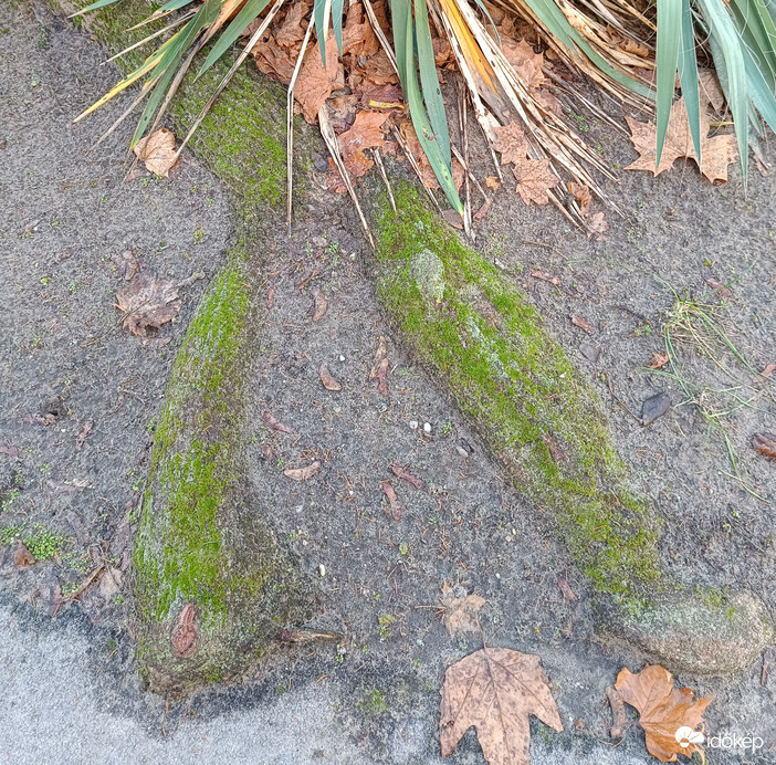 Egy,kettő. Bal-jobb!