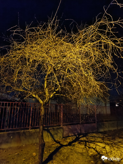 Bocsi! Ma nem fésülködtem...