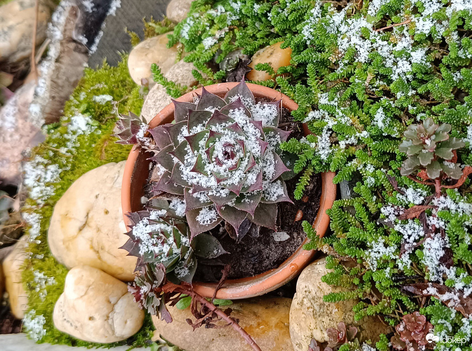 Lehet,hogy holnap már hópaplan fogja beborítan...