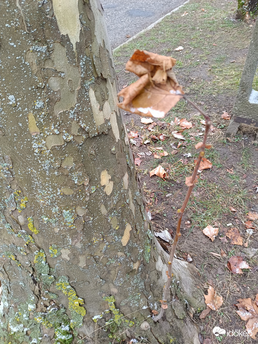 Egyik nap sütkérezek,másik nap hó van,hát mire számítsak??