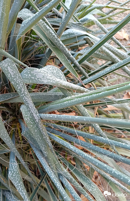 Már megint kiborult az a fránya cukor....