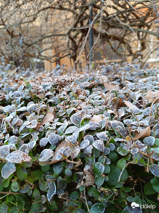 Mai reggel Kecskeméten