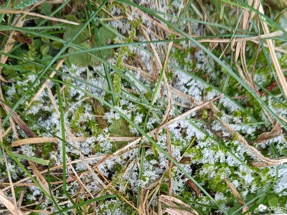 Kecskeméten egyhangú most a természet. Szürkeség,kopasz fák,várják. Hó az csak úgy "fű alatt"...