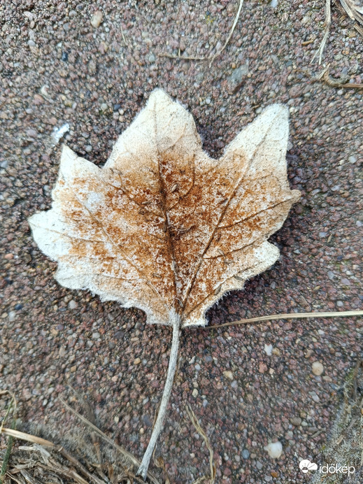 Mostmár nemcsak cukros,hanem kakaós is...