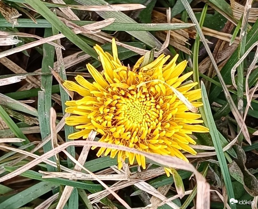 Hogy kerültem én ide??